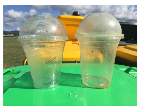 One compostable plastic cup and one recyclable plastic cup